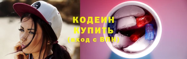 тгк Шали
