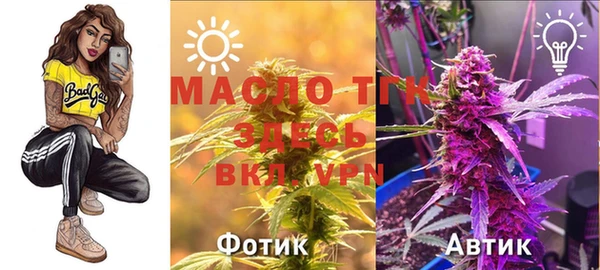 тгк Михайловск