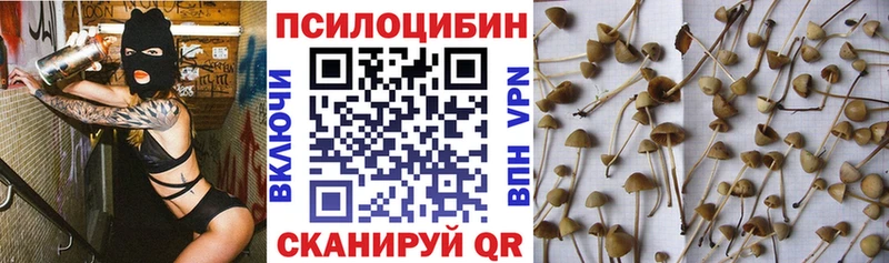 Псилоцибиновые грибы Psilocybine cubensis  продажа наркотиков  Верхоянск 